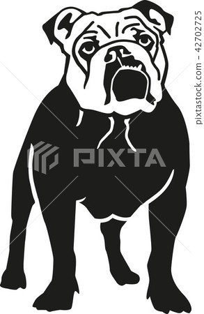 dog_english_bulldog_real_details.eps 42702725