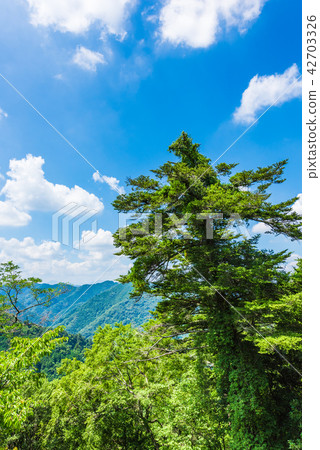 高雄山的自然風光 高雄山的自然風光 42703326