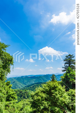 Nature in Mt. Takao Nature in Mt. Takao 42703328