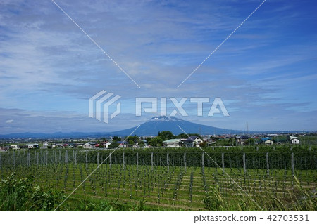 青森的旅程Iwakiyama 42703531