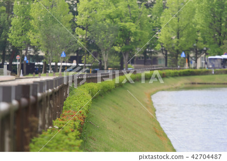 新鮮的綠色公園 42704487