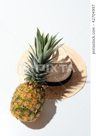 pineapple pineapple 42704997