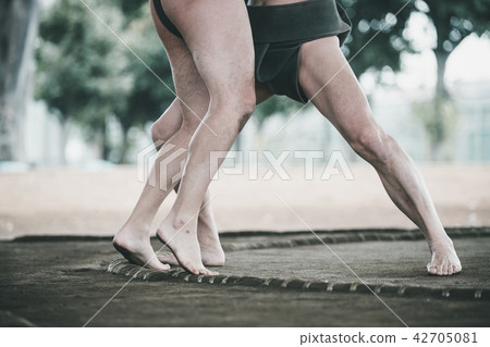 sumo, sumo wrestling, sumo wrestler's loincloth 42705081