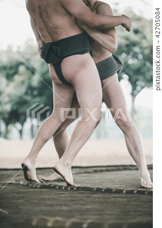 sumo, sumo wrestling, sumo wrestler's loincloth 42705084