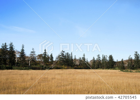 Kusamimasaki Shinsenumuma Kyowa-cho Kusamimasaki Shinsenumuma Kyowa-cho 42705545