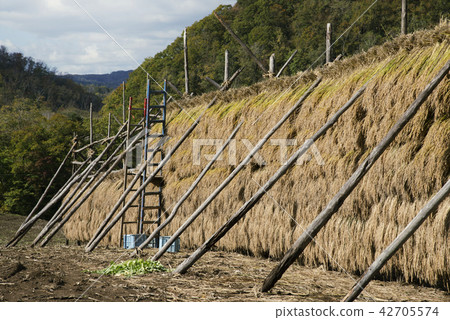 Prayashi Toyoura Town Prayashi Toyoura Town 42705574