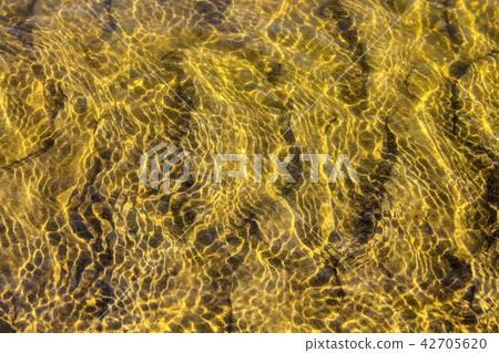 Refraction of light through water. 42705620