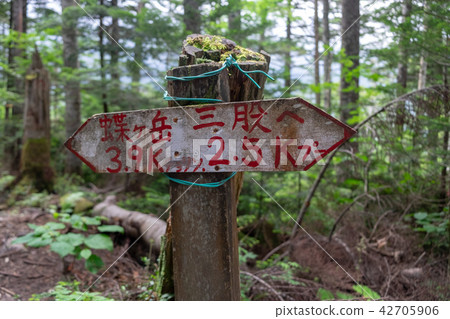 蝴蝶路標 蝴蝶路標 42705906