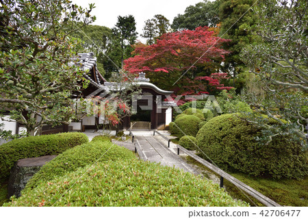 金突擊隊Komyoji寺廟產科醫生 金突擊隊Komyoji寺廟產科醫生 42706477