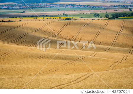Moravian Tuscany Kyjov Moravian Tuscany Kyjov 42707064
