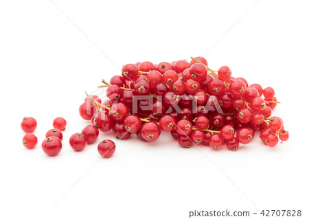 紅醋栗（紅醋栗）：紅醋栗 42707828