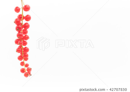 Redcurrant (red currant): redcurrant 42707830