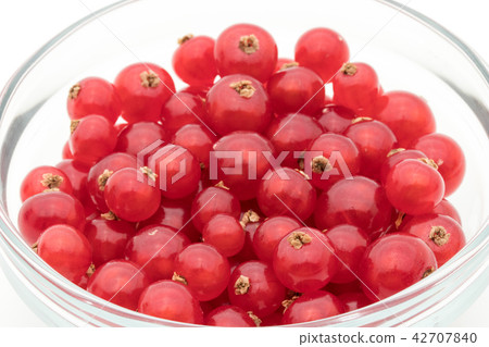 Redcurrant (red currant): redcurrant 42707840