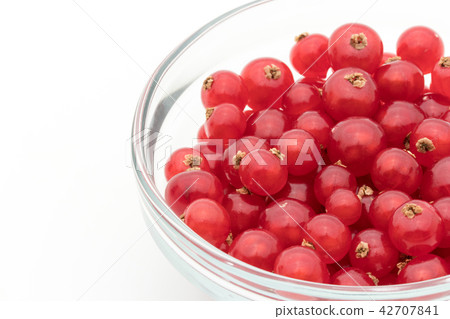 Redcurrant (red currant): redcurrant 42707841