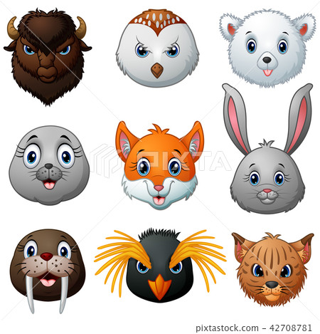Animals head cartoon collection 42708781