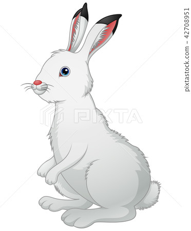 Cute white rabbit on a white background Cute white rabbit on a white background 42708951