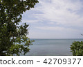 View of the distant sea over tree branches. 42709377
