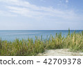 View of the distant sea over dry grass. 42709378