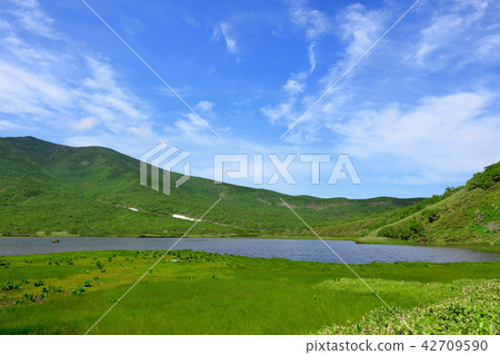 Shiretoko未開發的Rausu湖,小西區海港景色 Shiretoko未開發的Rausu湖,小西區海港景色 42709590