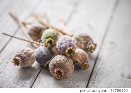 Poppy heads freely lying on a wooden board. 42709803