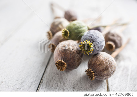 Poppy heads freely lying on a wooden board. 42709805
