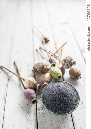 Poppy seed with their heads on wooden boards Poppy seed with their heads on wooden boards 42709808