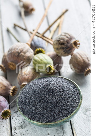 Poppy seed with their heads on wooden boards Poppy seed with their heads on wooden boards 42709813