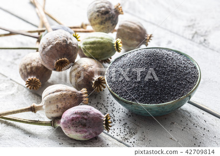 Poppy seed with their heads on wooden boards 42709814