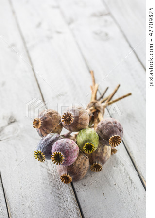 Poppy heads freely lying on a wooden board. Poppy heads freely lying on a wooden board. 42709825