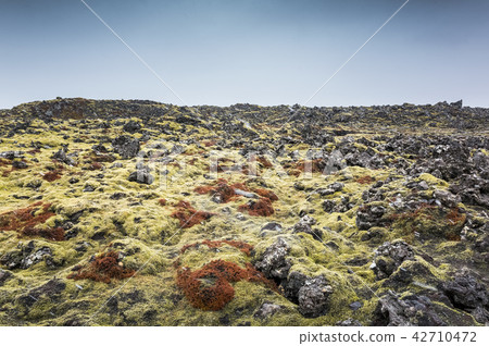 Nature of Iceland, empty landscape 42710472