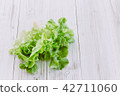 Green vegetables on wooden background  42711060