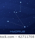 Constellation Hydrus, Water Snake 42711708