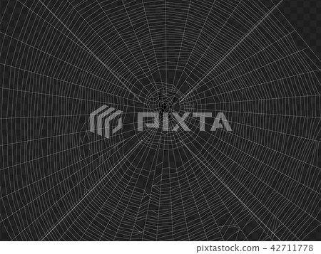 Spider web illustration. Spider web illustration. 42711778