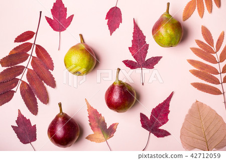 Natural composition of dry pink leaves and pears 42712059