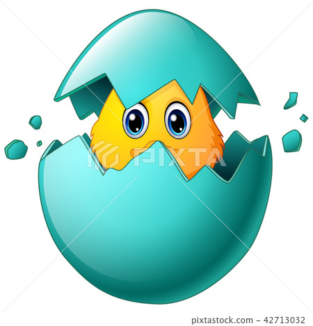 Cute easter chicks in egg shell Cute easter chicks in egg shell 42713032