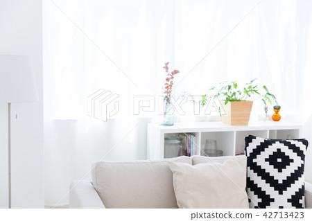 Windows and foliage plants Windows and foliage plants 42713423