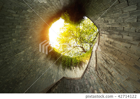 Fort Canning Park with nobody. Nature Tunnel 42714122