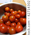 Self-cultivated tomato 42714302