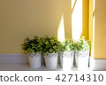 little plants with sunlight on yellow wall 42714310