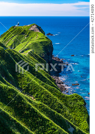 "Hokkaido" God Rising Cape - Natural Landscape 42714890