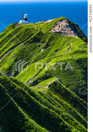 "Hokkaido" God Rising Cape - Natural Landscape 42714893