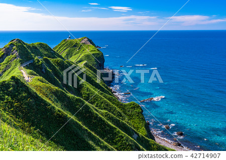 “北海道”神崛起的海角 - 自然景觀 42714907