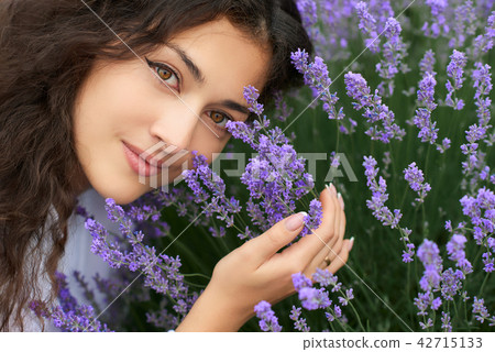 beautiful young woman is in the lavender field beautiful young woman is in the lavender field 42715133