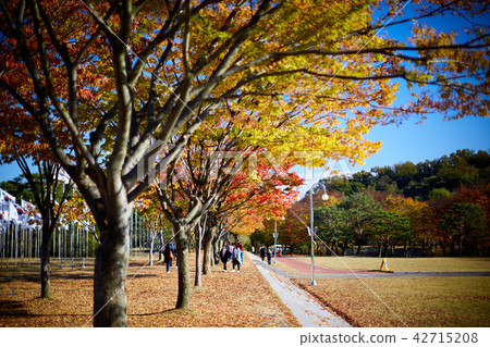 Autumn leaves and blue sky of Independence Hall Autumn leaves and blue sky of Independence Hall 42715208