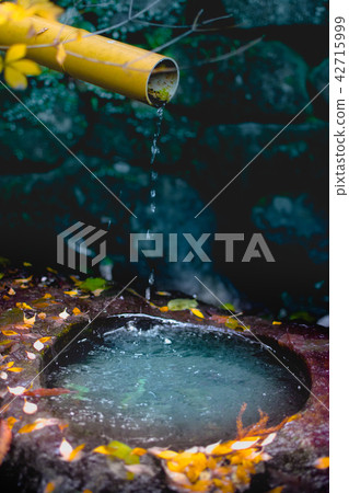 Bamboo and water drops 42715999