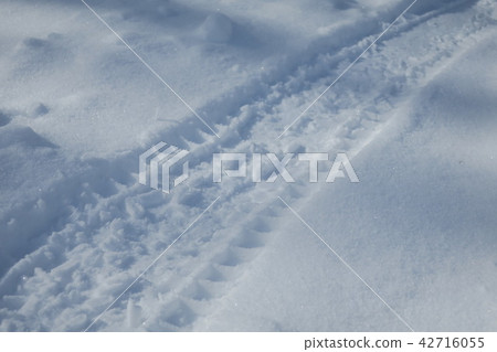 Snow rut 42716055