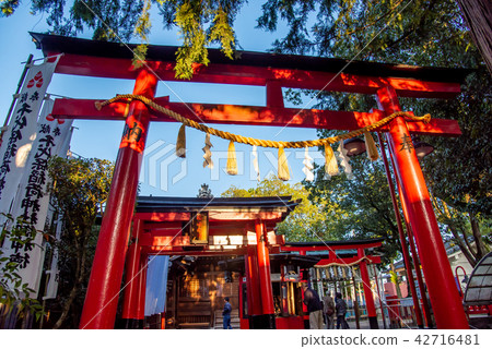 紅色在千代潔具inari神社燈籠Lampmakers崇拜者的區域 紅色在千代潔具inari神社燈籠Lampmakers崇拜者的區域 42716481