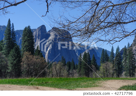 Yosemite Valley Floor 42717796