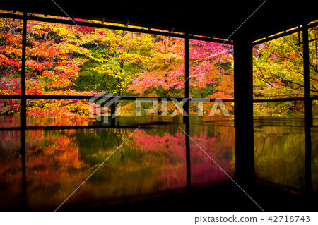 Authority Rurikoin 42718743