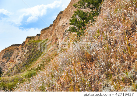 high coast by the sea, beautiful wild landscape  42719437